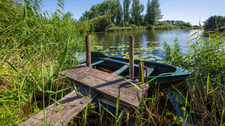 Wat is er tegenwoordig in de mode als tuindecoratie?